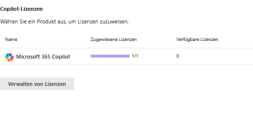 Privacy in Microsoft Copilot 9 grafik 165